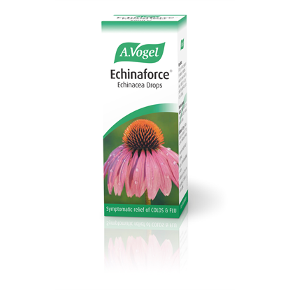 Echinaforce Echinacea Drops 50ml