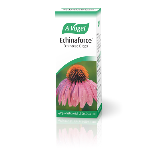 Echinaforce Echinacea Drops 50ml