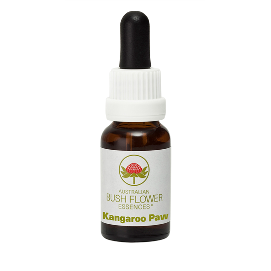 Kangaroo Paw (Stock Bottle) 15ml