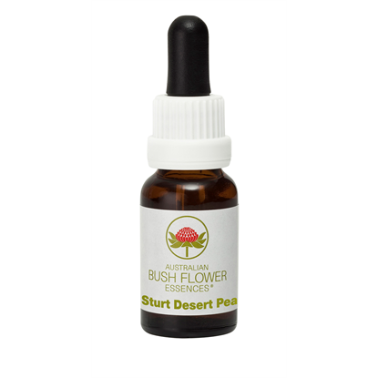 Sturt Desert Pea (Stock Bottle) 15ml