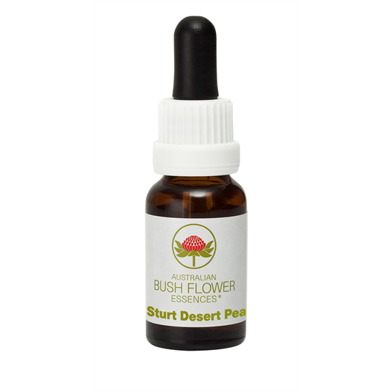 Sturt Desert Pea (Stock Bottle) 15ml