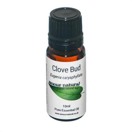 Clove Bud Pure Essential Oil 10ml