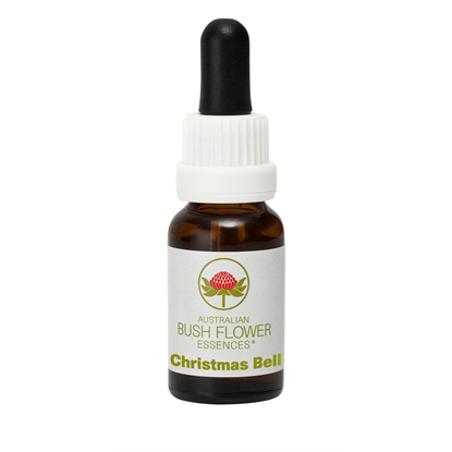 Christmas Bell (Stock Bottle) 15ml