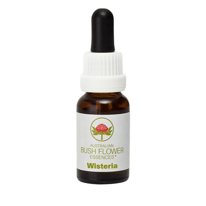 Wisteria (Stock Bottle) 15ml