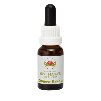 Dagger Hakea (Stock Bottle) 15ml