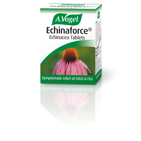 Echinaforce Echinacea Tablets 42s