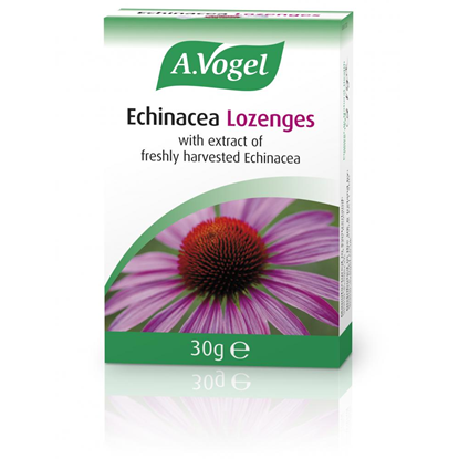 Echinacea Blackcurrant Flavour Lozenges 40g