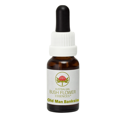 Old Man Banksia (Stock Bottle) 15ml