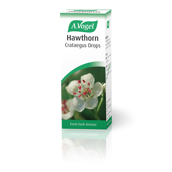 Hawthorn Crataegus Drops 50ml