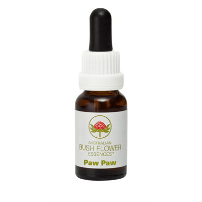 Paw Paw (Stock Bottle) 15ml