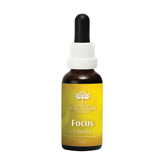 Focus Essence 30ml