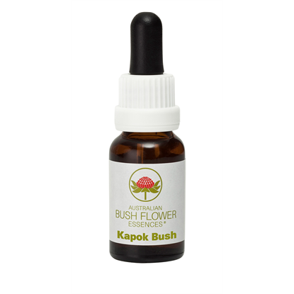 Kapok Bush (Stock Bottle) 15ml