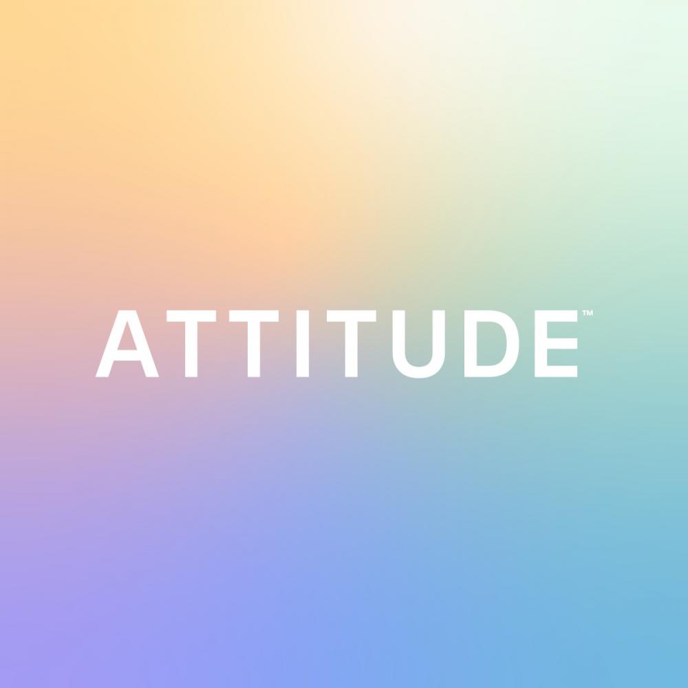 ATTITUDE