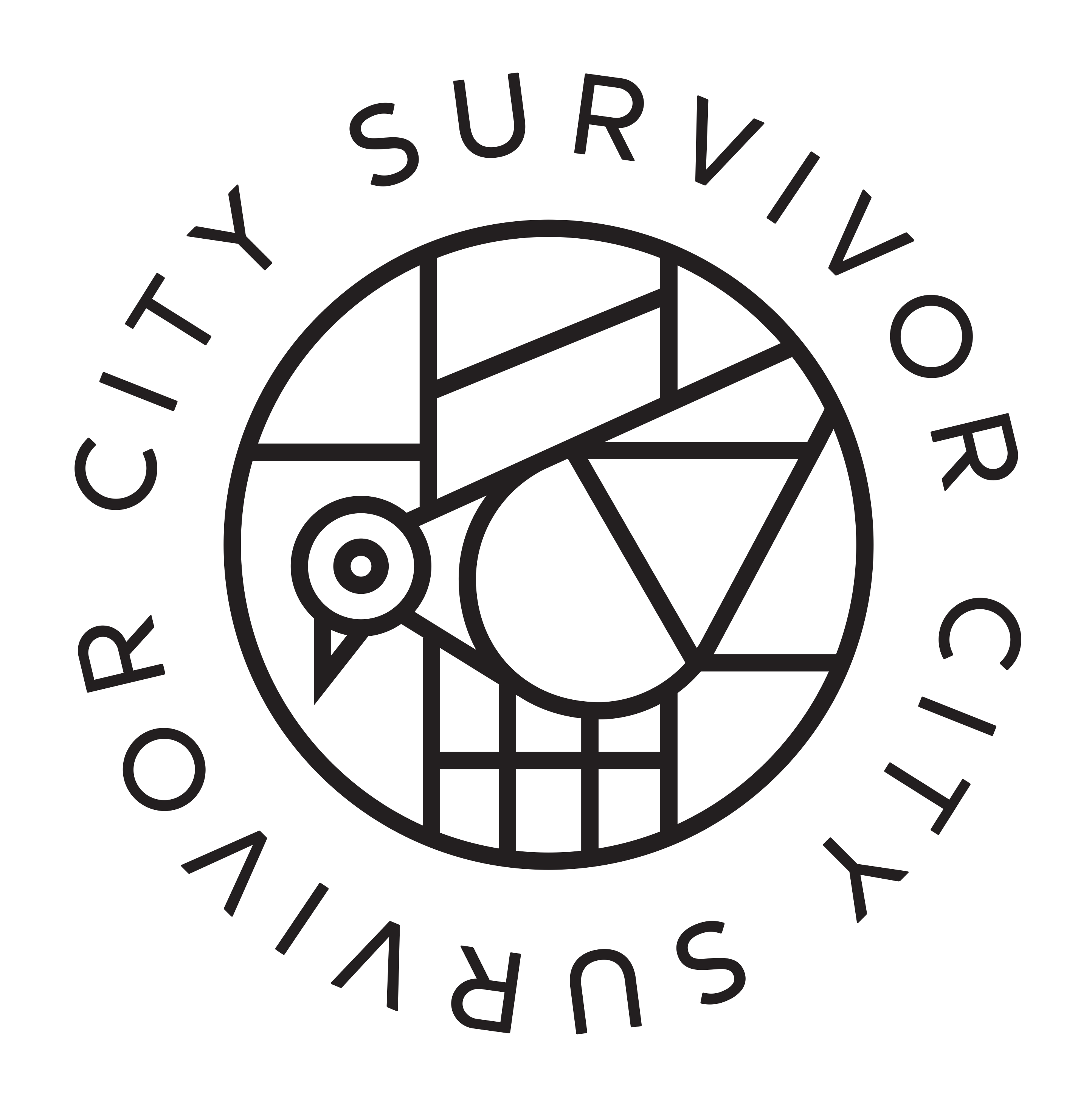 City Survivor
