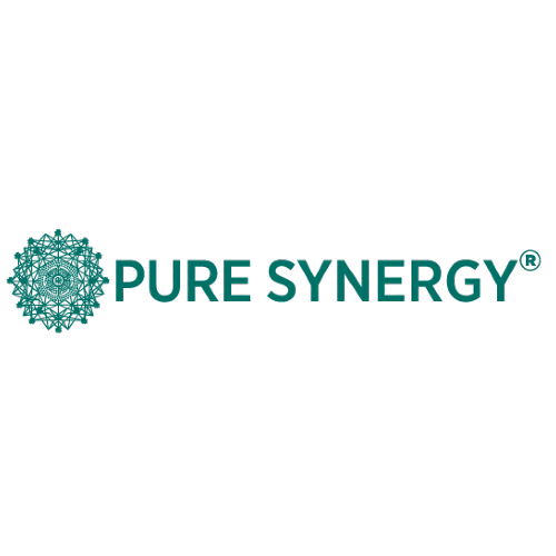 The Synergy Company (Pure Synergy)