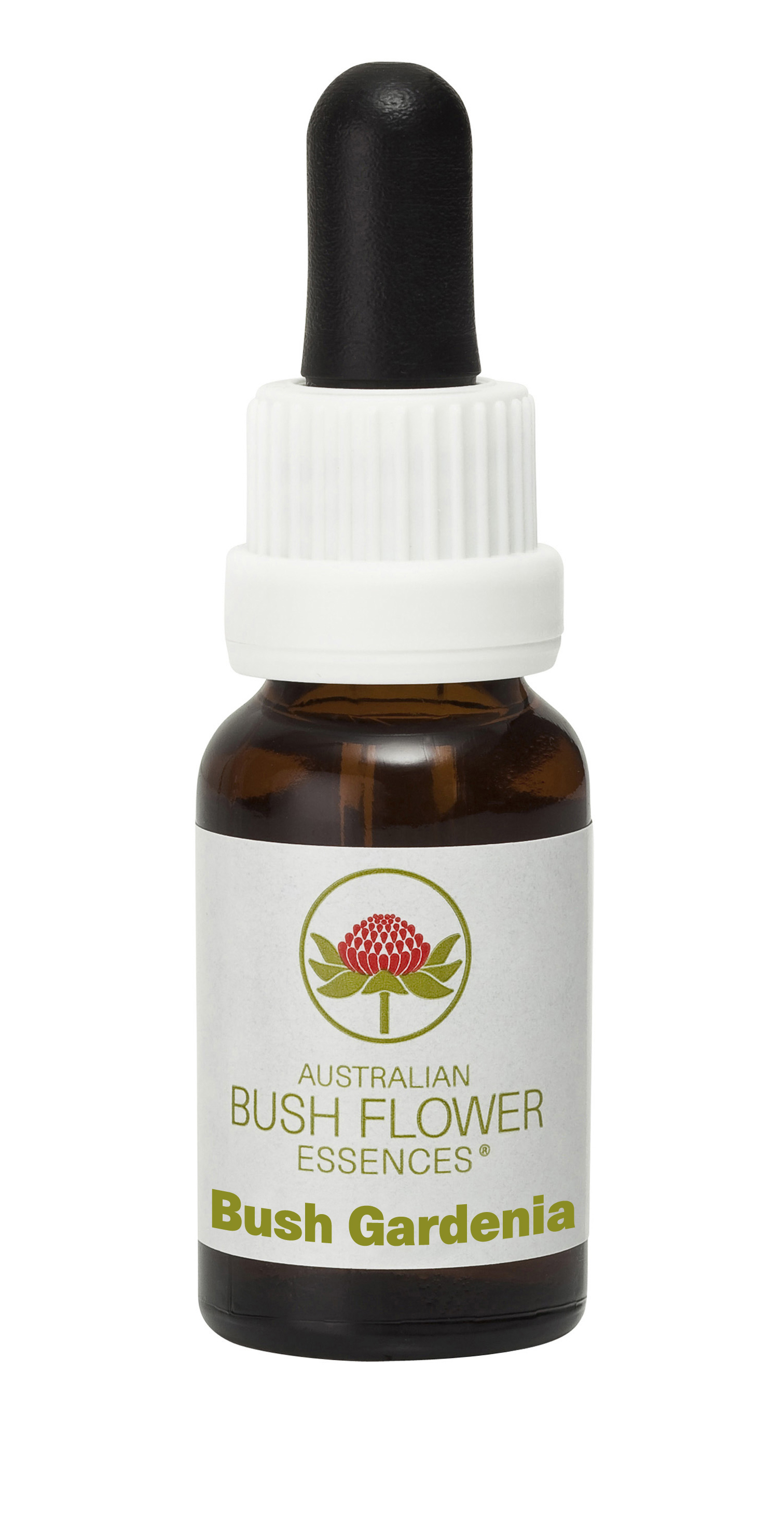Bush Gardenia (Stock Bottle) 15ml