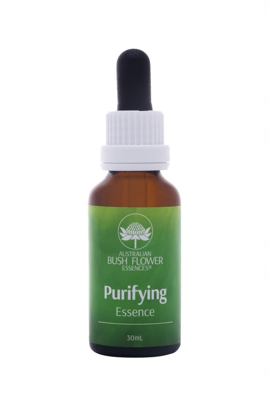 Purifying Essence 30ml