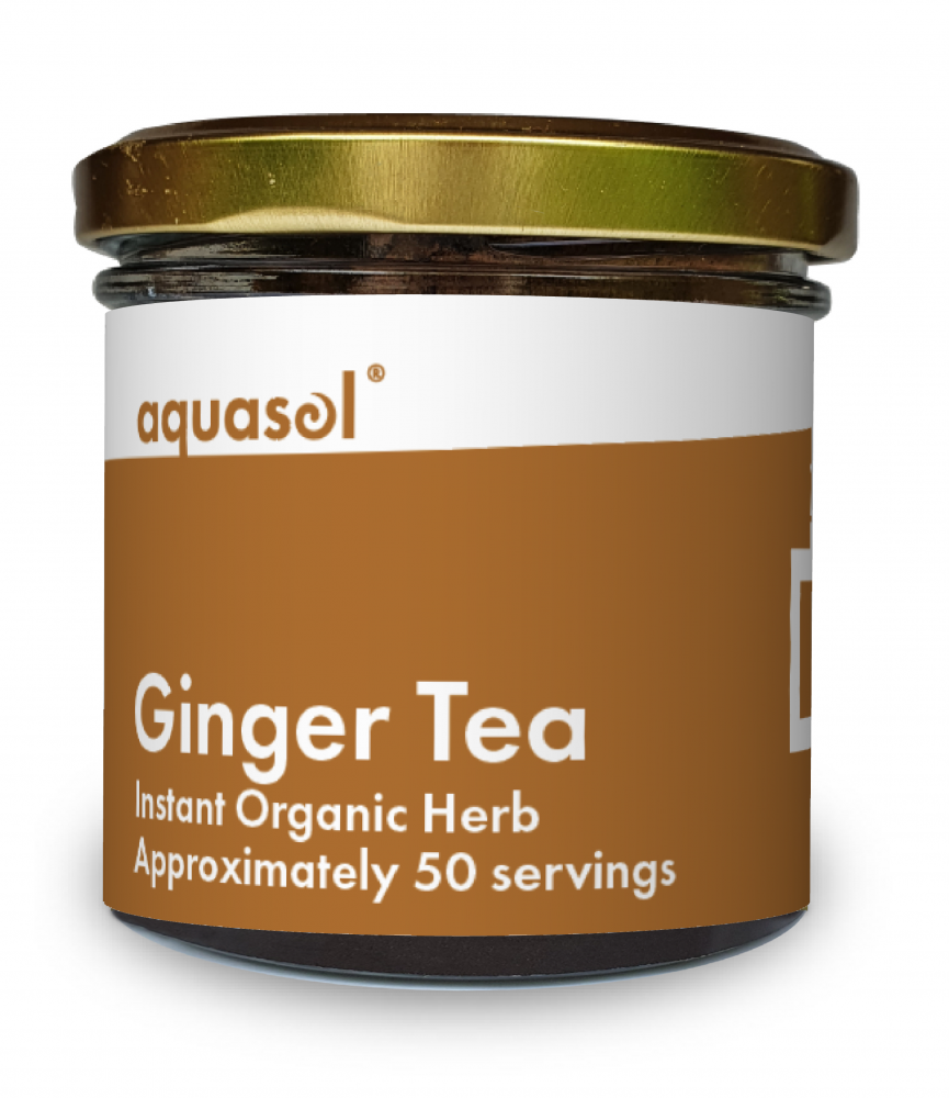 Ginger Tea (Organic) 20g