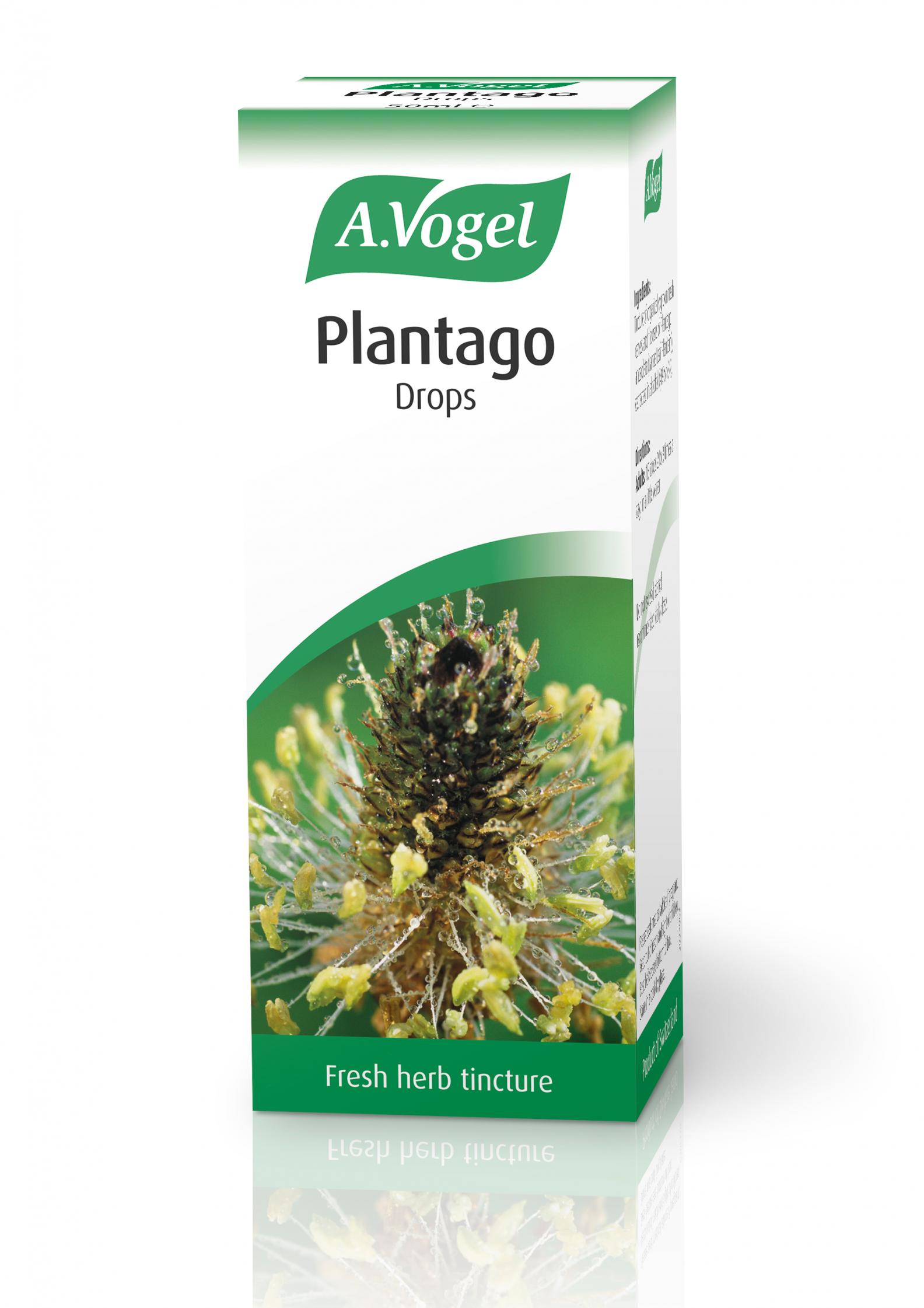 Plantago Drops 50ml