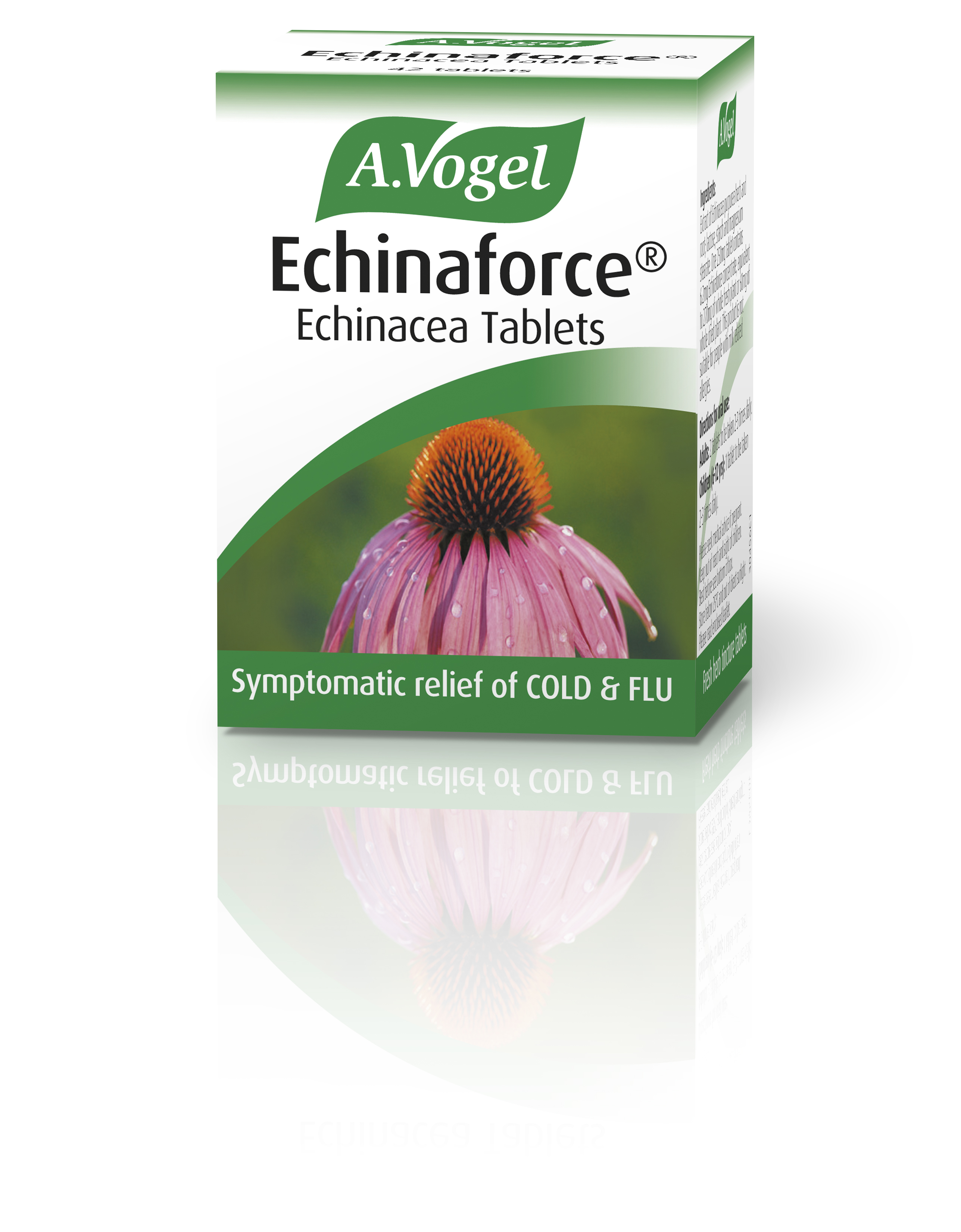 Echinaforce Echinacea Tablets 42's