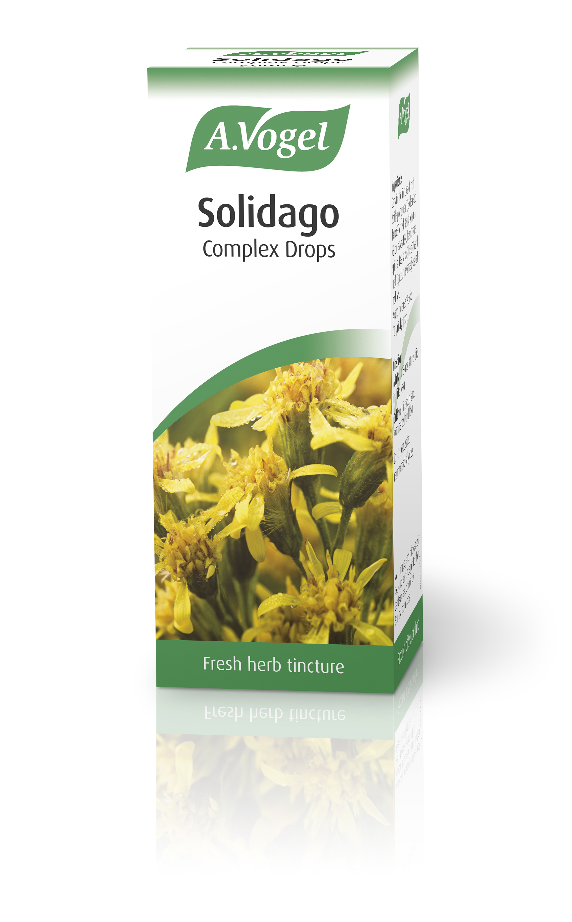 Solidago Complex 50ml