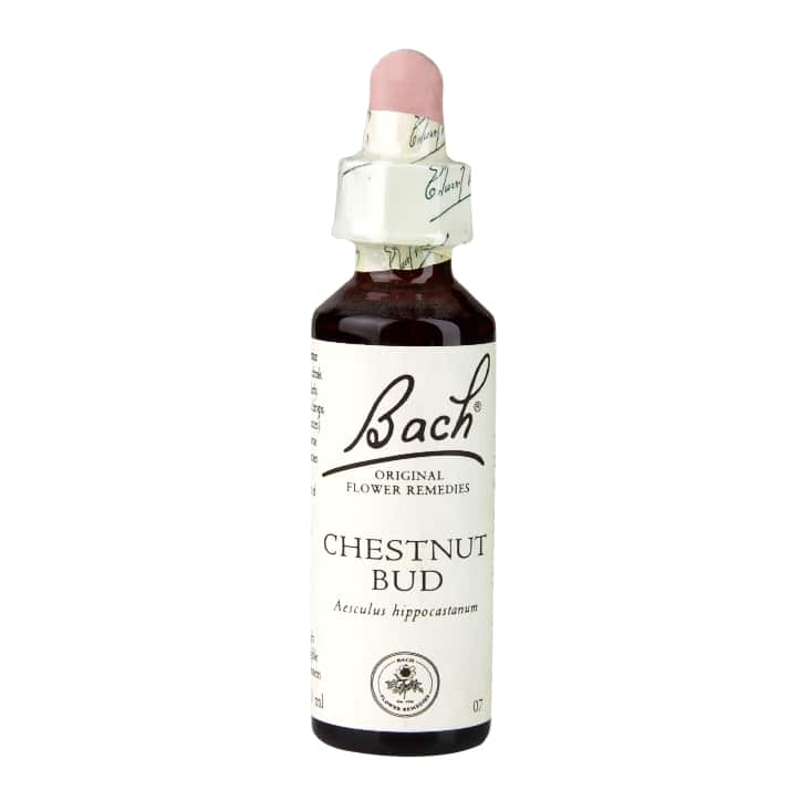 Chestnut Bud 20ml