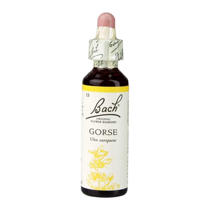 Gorse 20ml