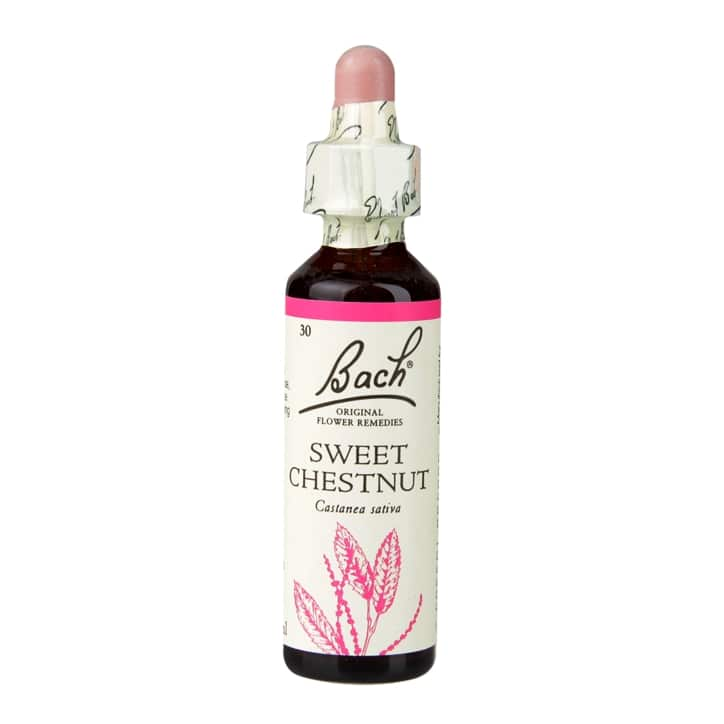 Sweet Chestnut 20ml