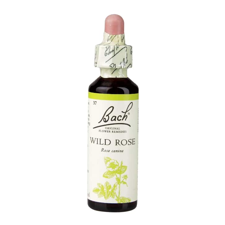 Wild Rose 20ml