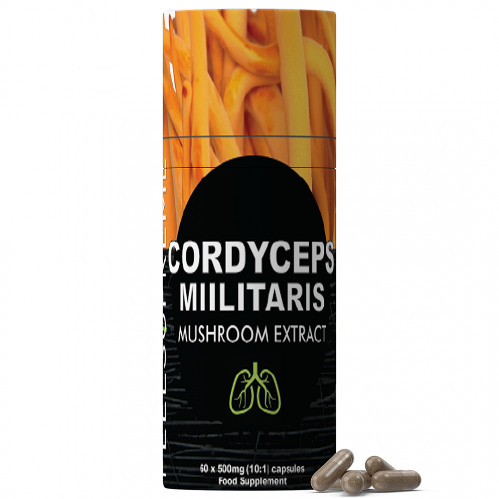 Cordyceps Militaris Capsules 60's