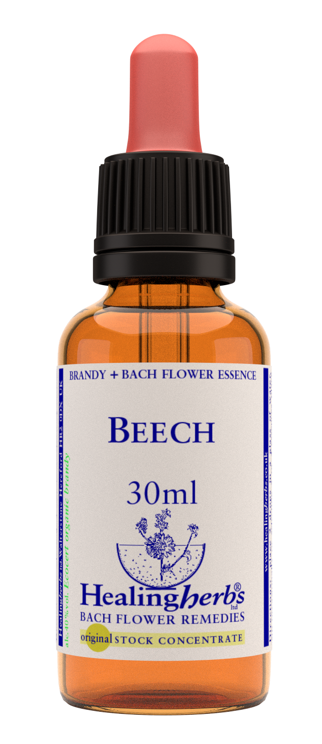 Beech 30ml