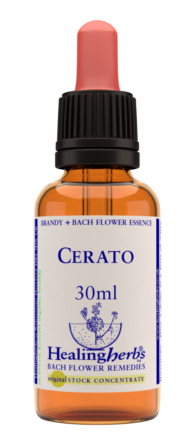 Cerato 30ml