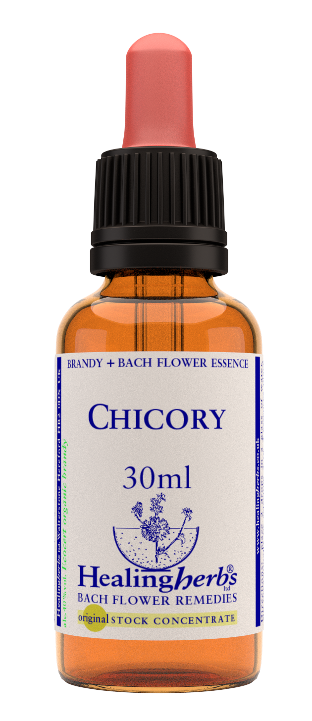 Chicory 30ml