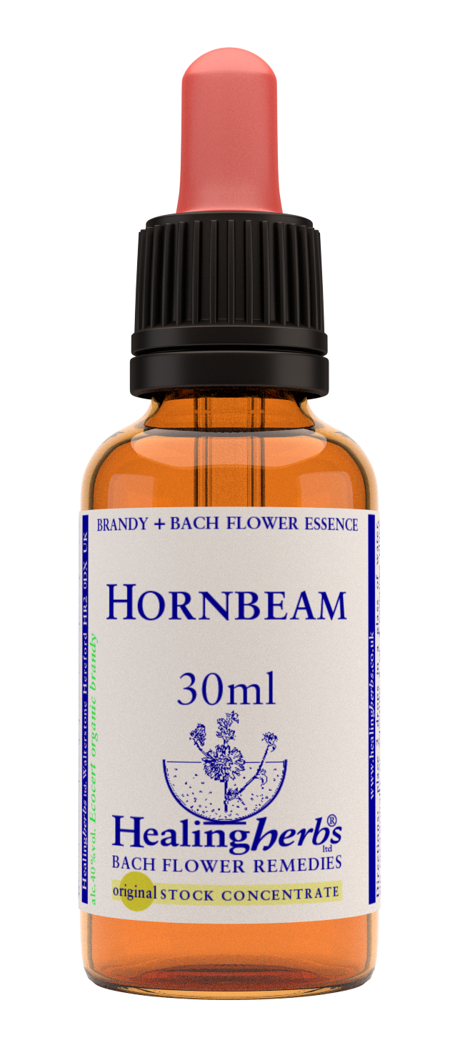 Hornbeam 30ml