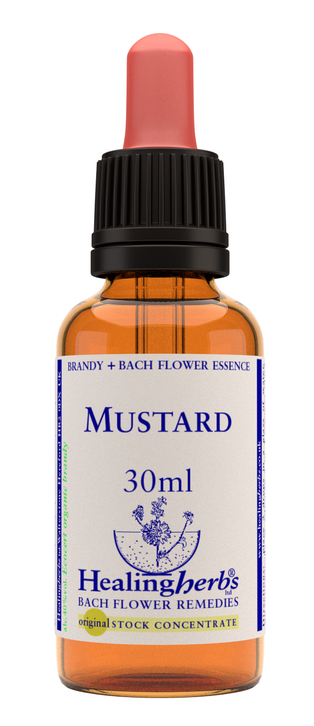 Mustard 30ml