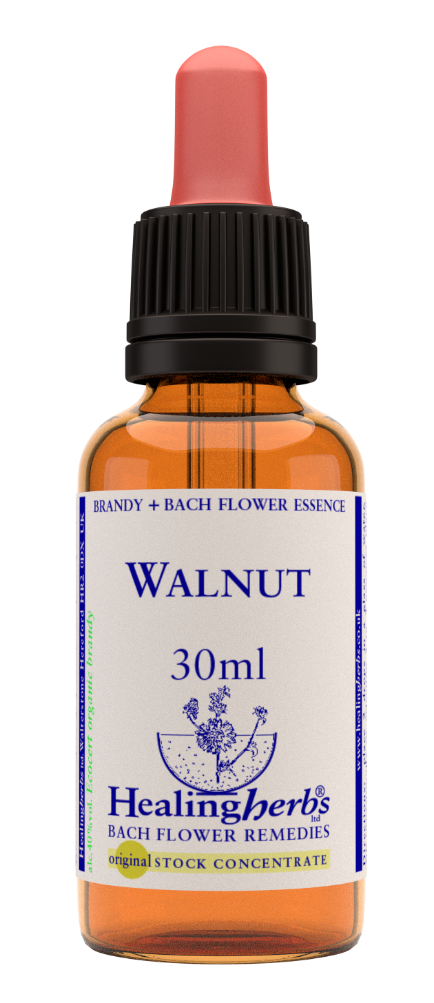 Walnut 30ml