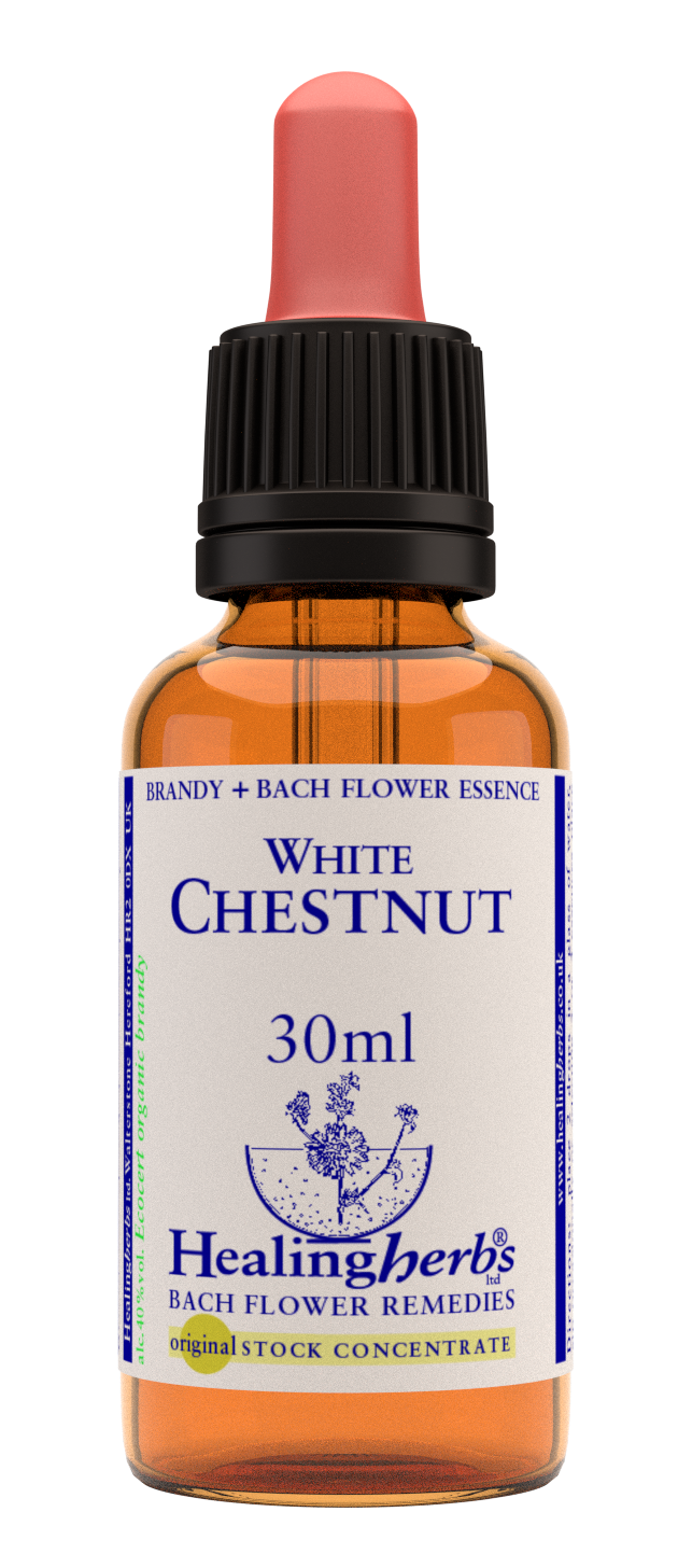 White Chestnut 30ml