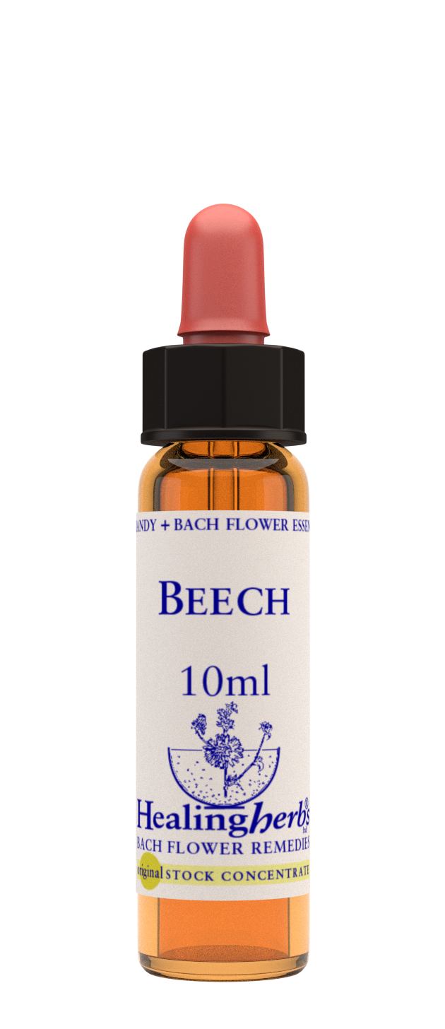 Beech 10ml