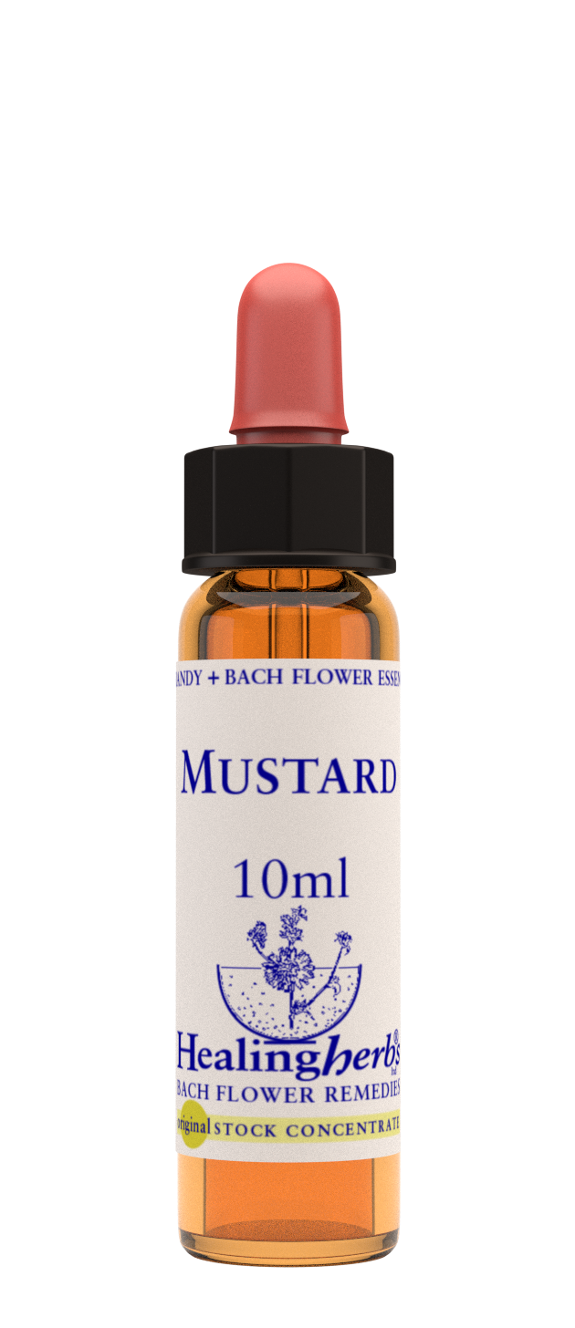 Mustard 10ml