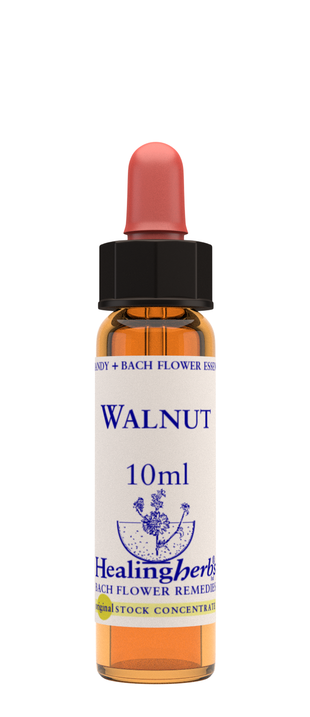 Walnut 10ml