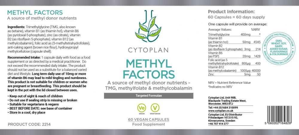 Methyl Factors 60's