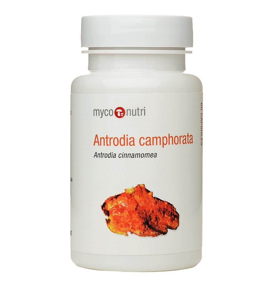 Antrodia Camphorata 60's: The Natural Dispensary