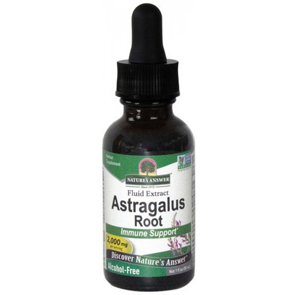 Astragalus Root (Alcohol Free) 30ml