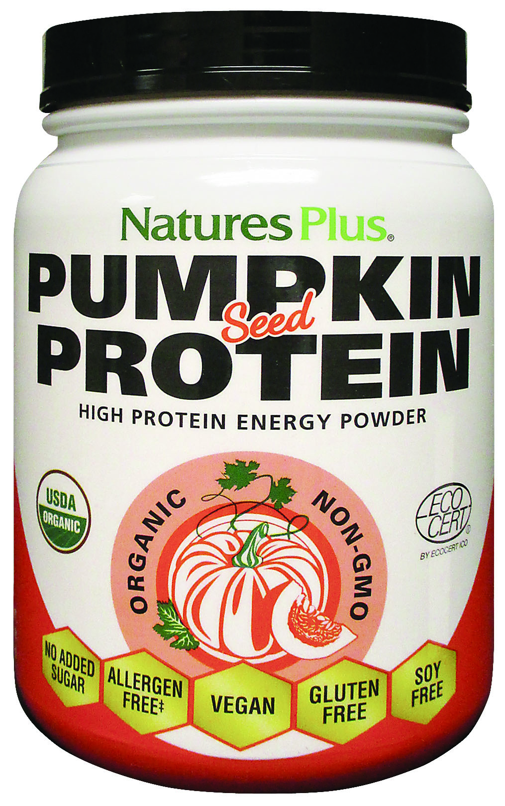 Pumpkin Seed Protein Organic 429g The Natural Dispensary