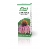 Echinaforce Echinacea Drops 50ml