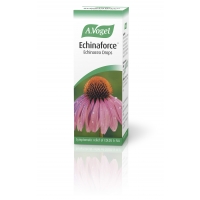 Echinaforce Echinacea Drops 100ml