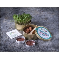 Organic Microgreen Grow Kit (Kale)