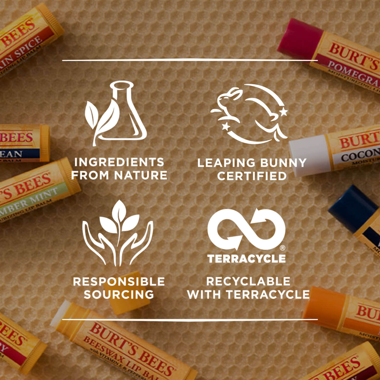 Advanced Relief Lip Balm with Turmeric 4.25g