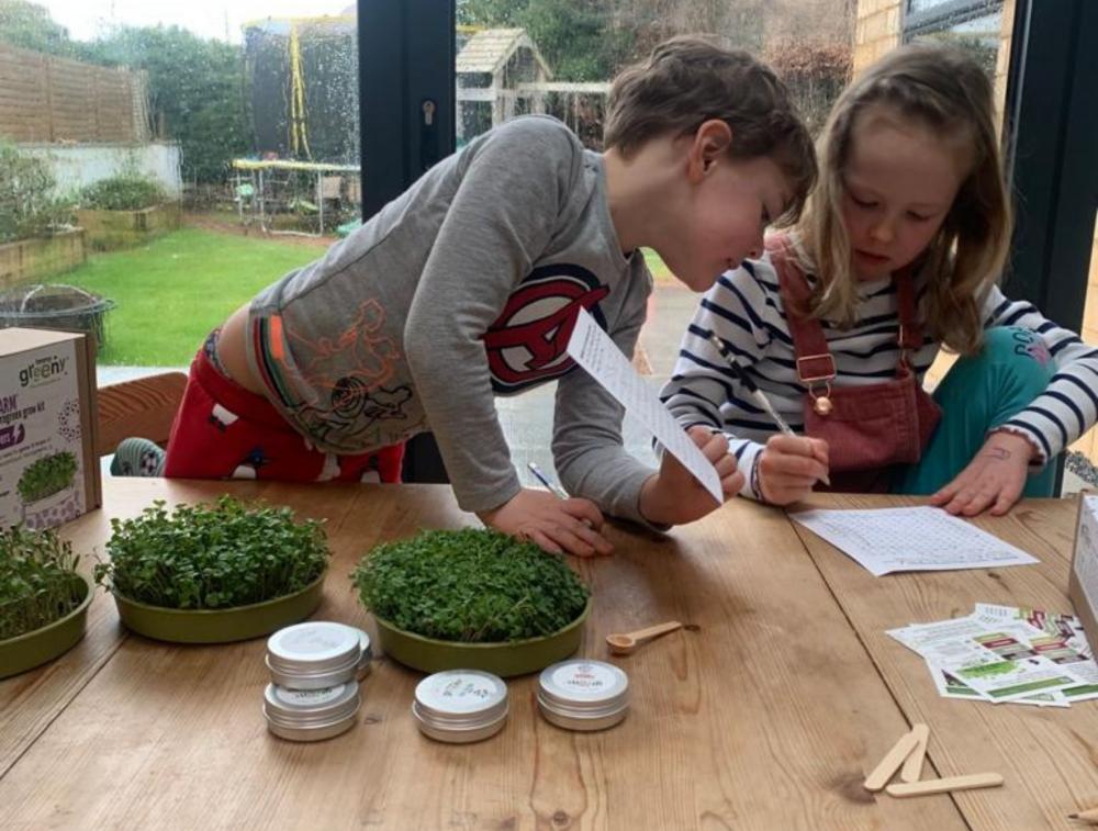 Microfarm Organic Microgreen Grow Kit 'Rocket Fuel' (Broccoli, Red Cabbage, Rocket)