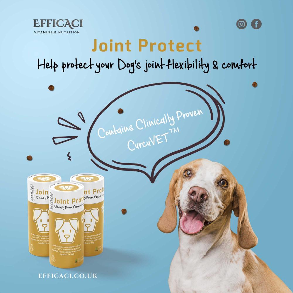 Joint Protect (for dogs) 90's